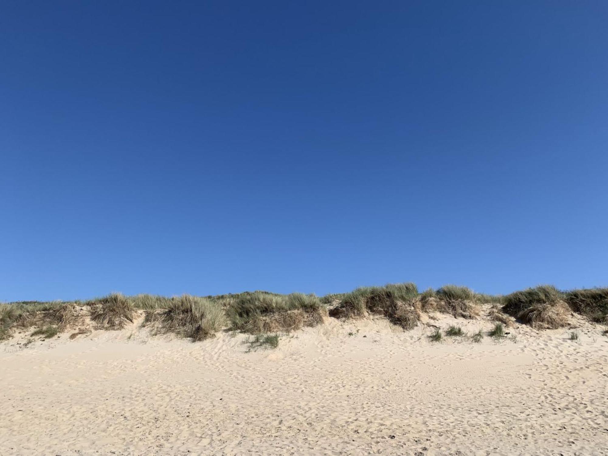 Studio Beach House By Interhome De Haan Eksteriør bilde